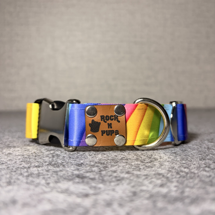 Rainbow Boyun Tasması