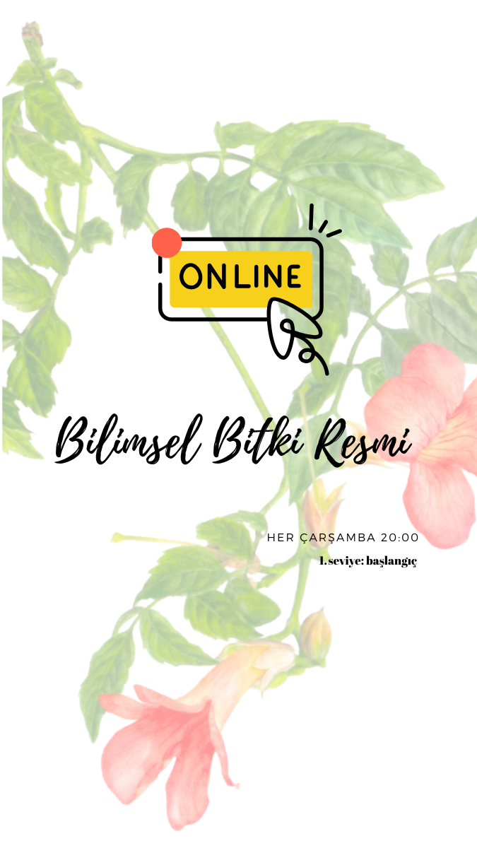 online bilimsel bitki resmi 4 ders