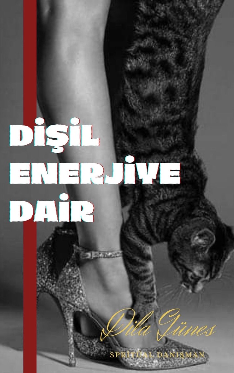 IŞILDAMAYA DEVAM ET E-BOOK