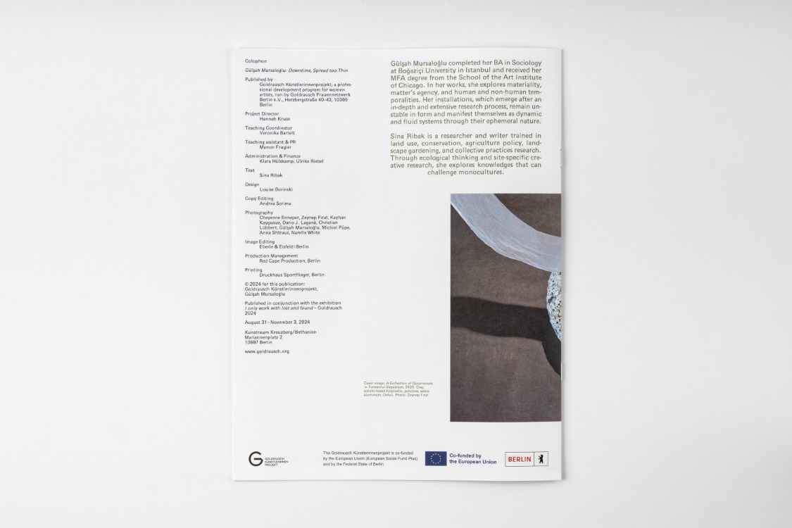 Gülşah Mursaloğlu - downtime,spread too thin