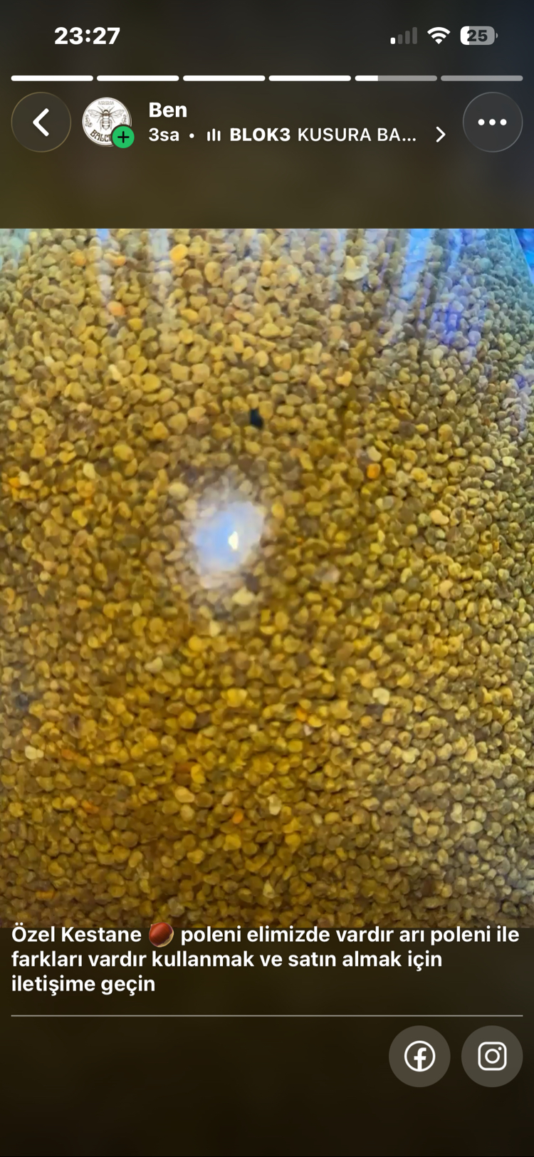 Kestane poleni kuru 200 gr