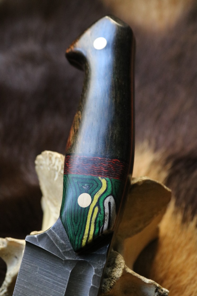 BEAR 6
