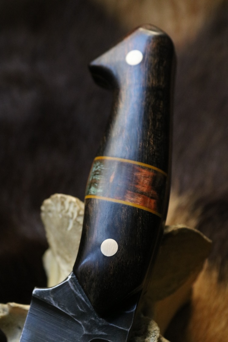 BEAR 5