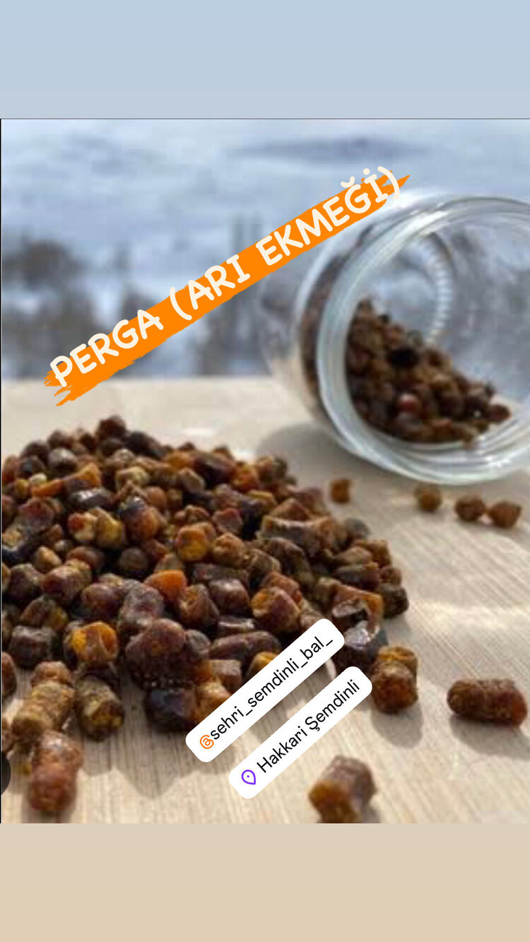 PERGA