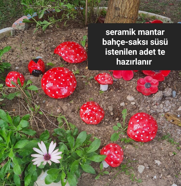 seramik mantar 