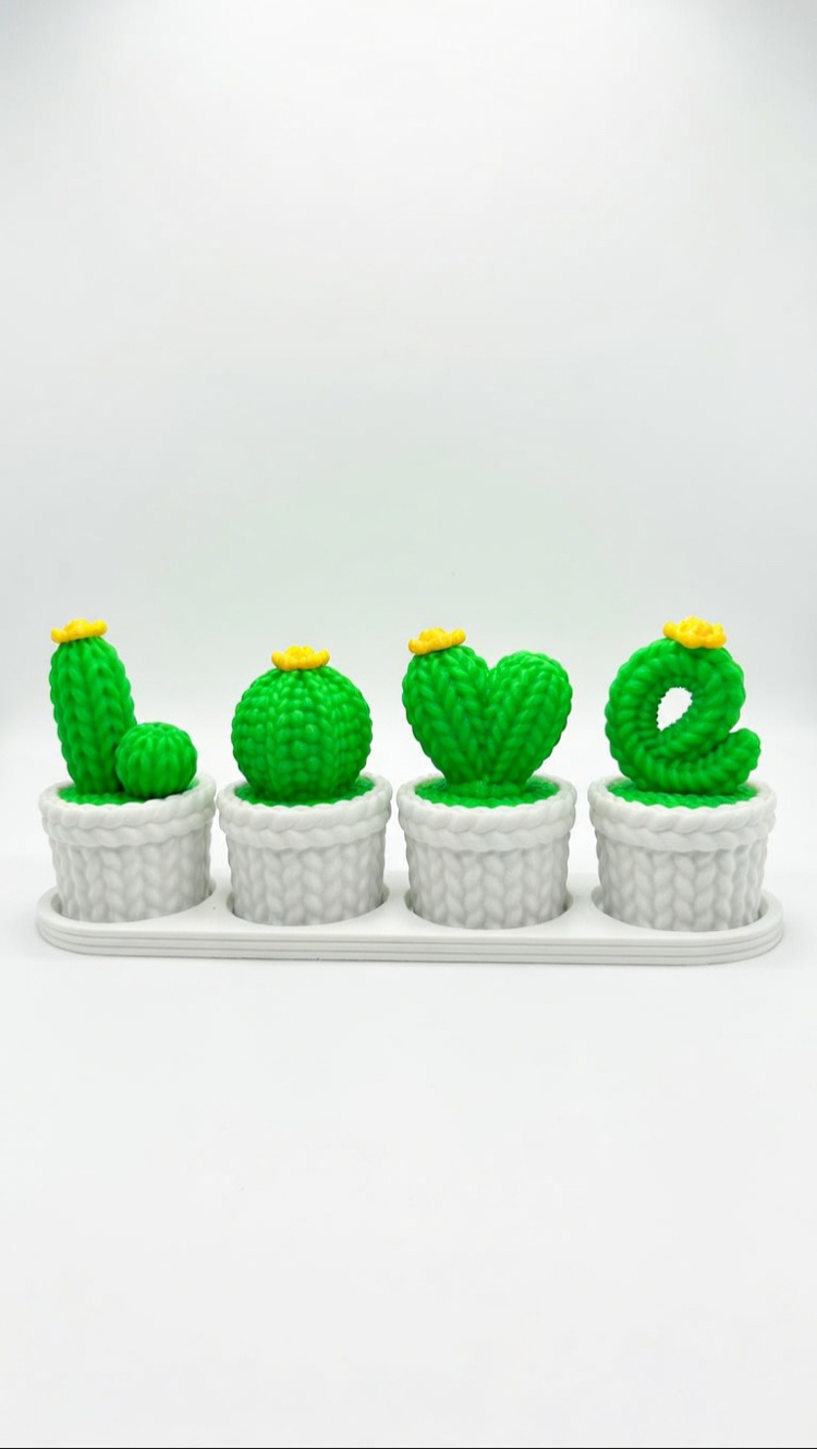 LOVE kaktüs