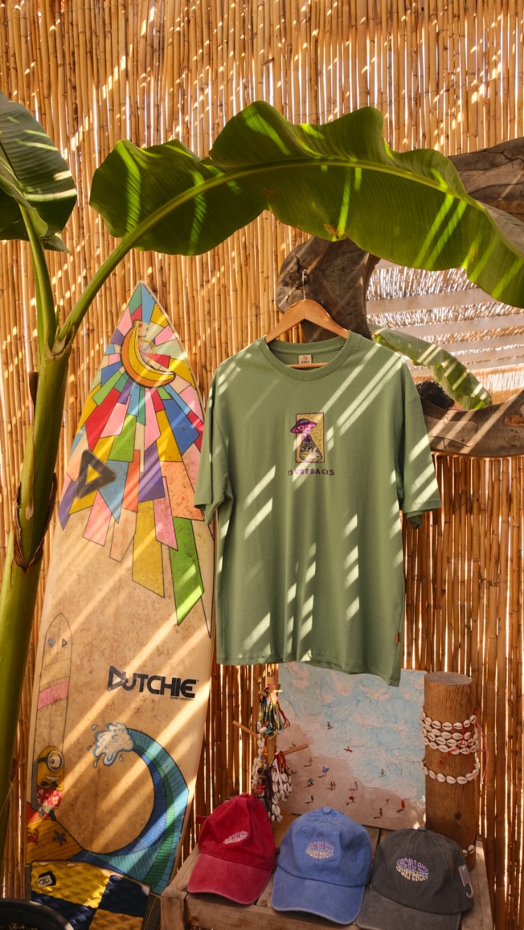 TAKE ME SURFING 