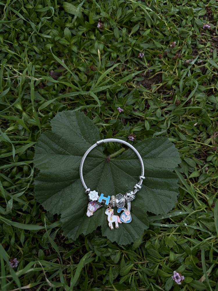 Çelik charm bileklik