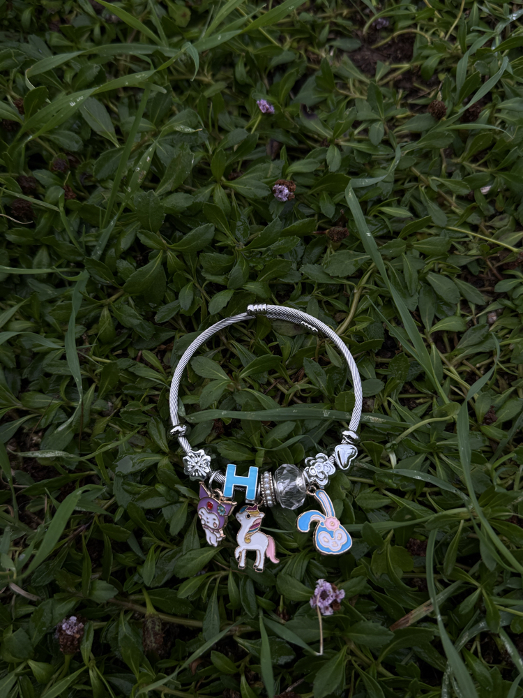 Çelik charm bileklik