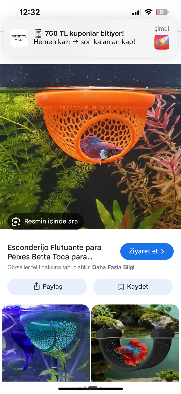 Betta Yatağı