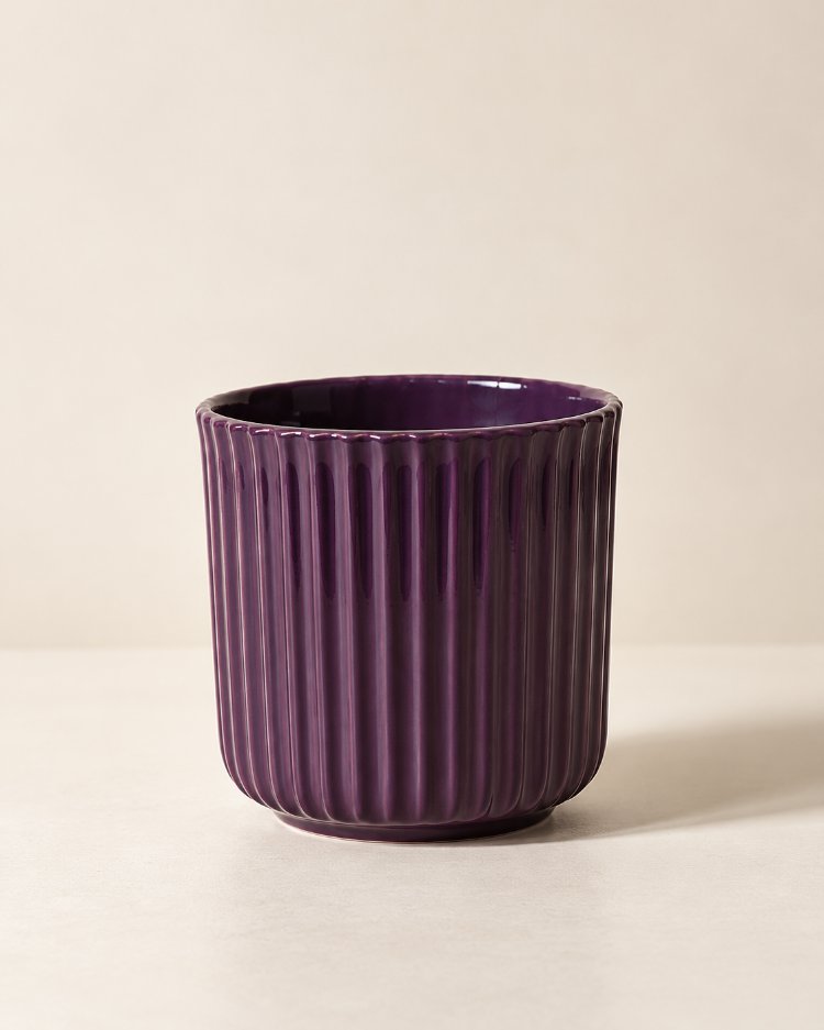 Pervin (260ml)