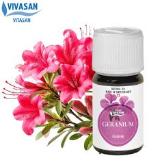 Vivasan Sardunya Uçucu Yağı (Geranium Oil) – 10 ml