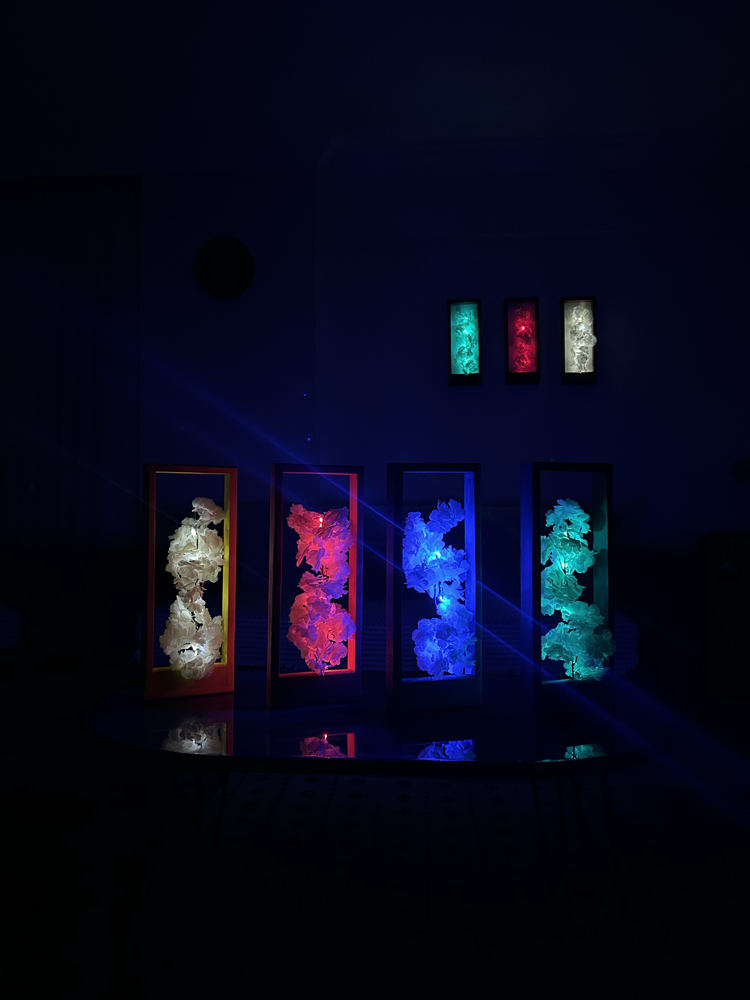 GECE ÇİÇEĞİ TABLO 