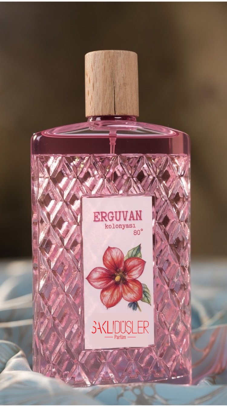 SaklıDüşler ERGUVAN kolonyası