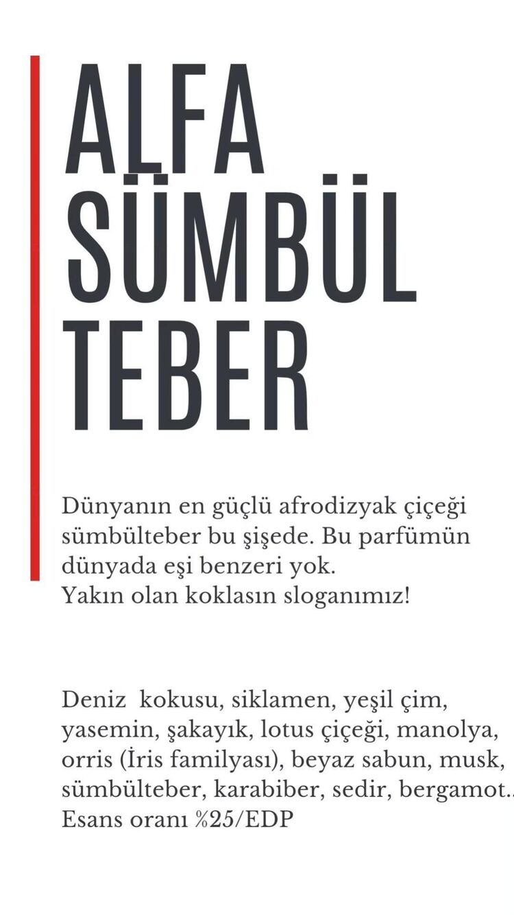 4X4 ERKEK PARFÜM / 10 ml spreyli cam şişe