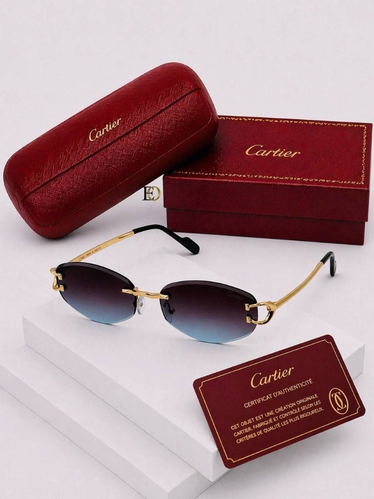Cariter sunglasses