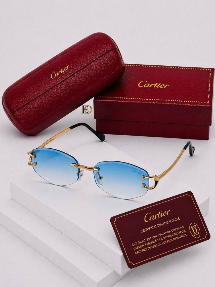 Cariter sunglasses