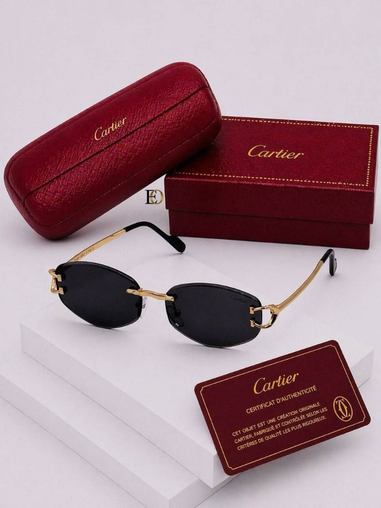 Cariter sunglasses