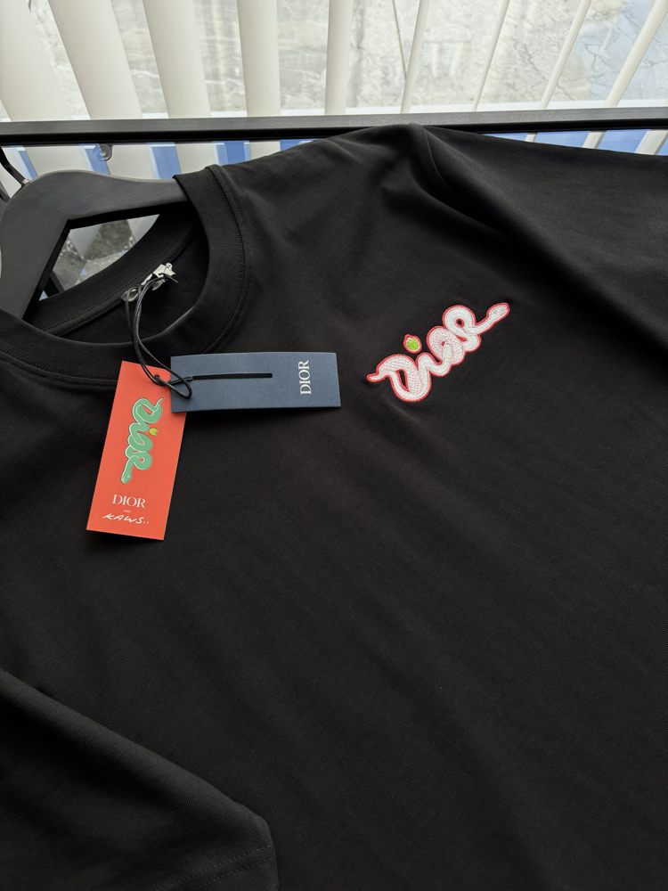 DİOR Kaws Special Nakış Logo Tshirt