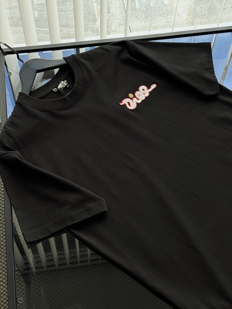 DİOR Kaws Special Nakış Logo Tshirt