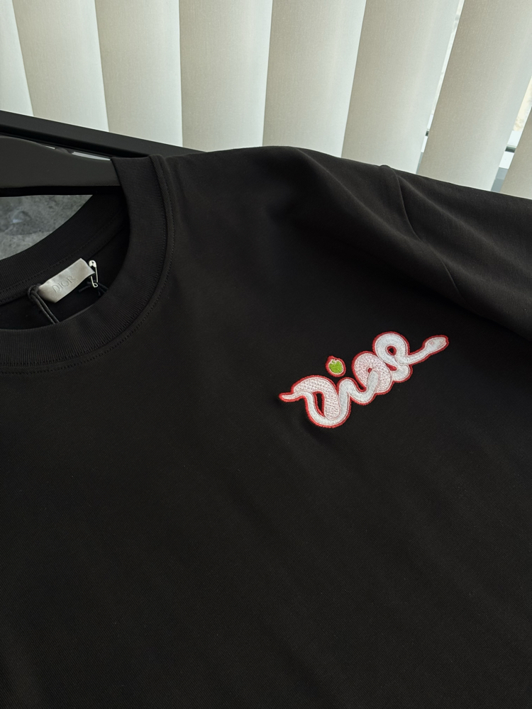 DİOR Kaws Special Nakış Logo Tshirt
