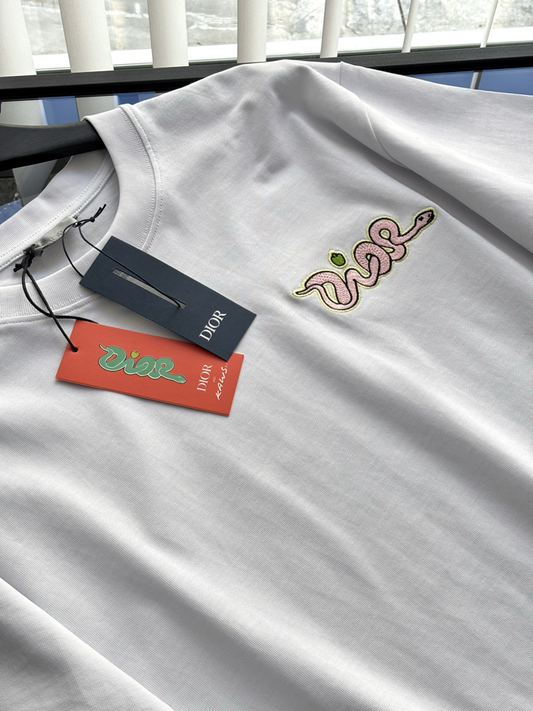 DİOR Kaws Special Nakış Logo Tshirt