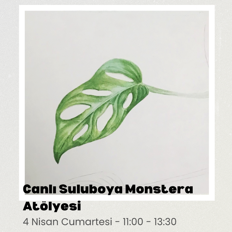 Canlı Suluboya Monstera Atölyesi (Online) – Bilimsel Bitki Ressamlığına Giriş