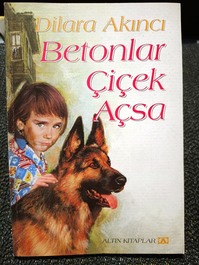 BETONLAR ÇİÇEK AÇSA - DİLARA AKINCI- İMZALI..