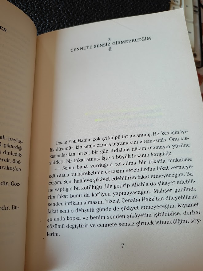 DÜŞTE KALAN - İSKENDER PALA..
