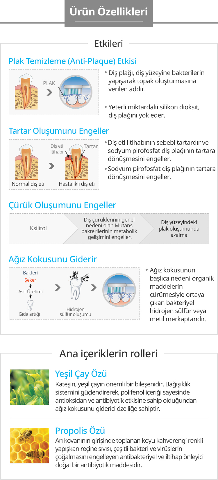 ATOMY, GÜNLÜK KULLANIM, SEYAHAT AĞIZ BAKIM SETİ. YENİ ÜRÜNDÜR.