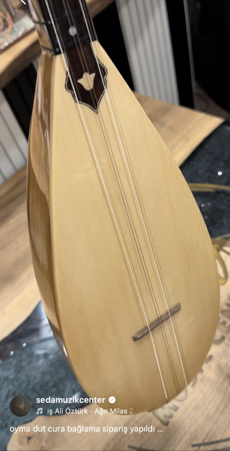 PROFOSYONEL BALTA BAĞLAMA