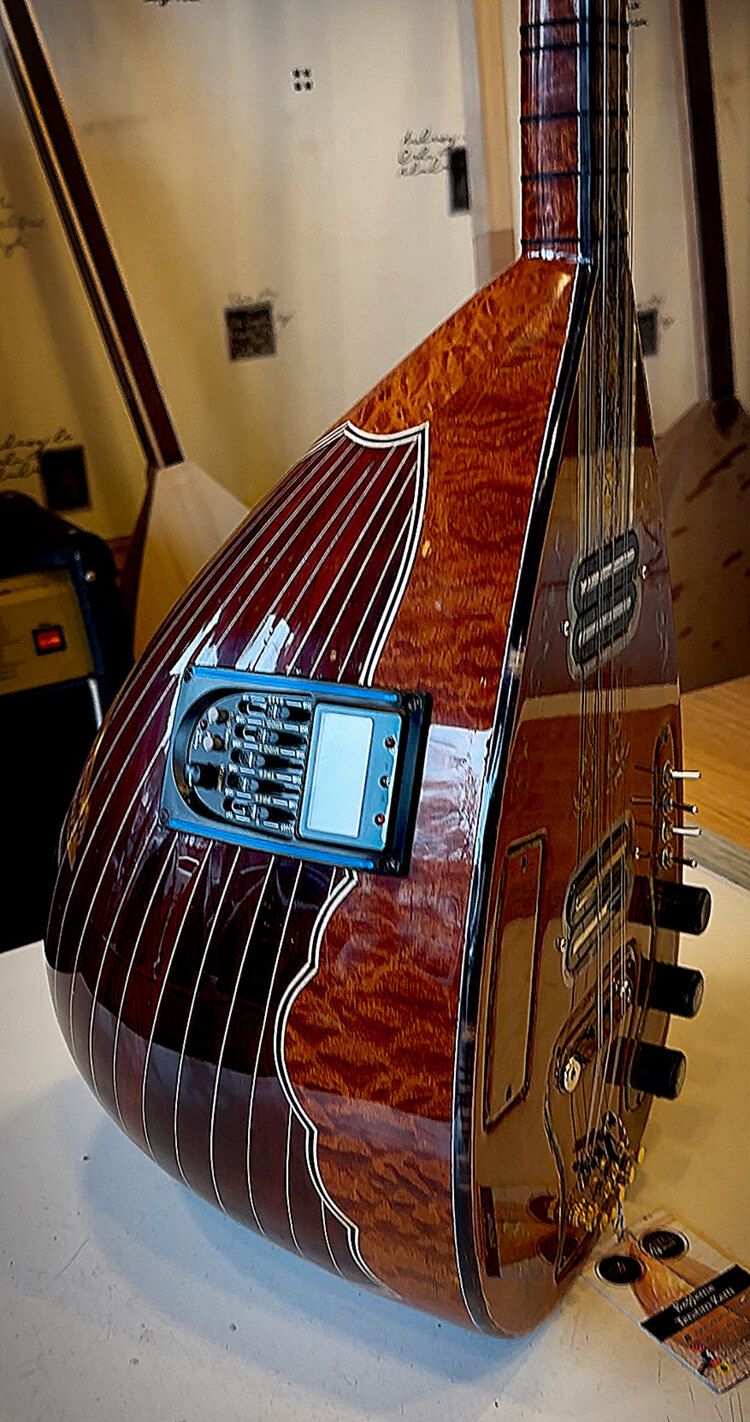 Profosyonel elektro bağlama uzun sap