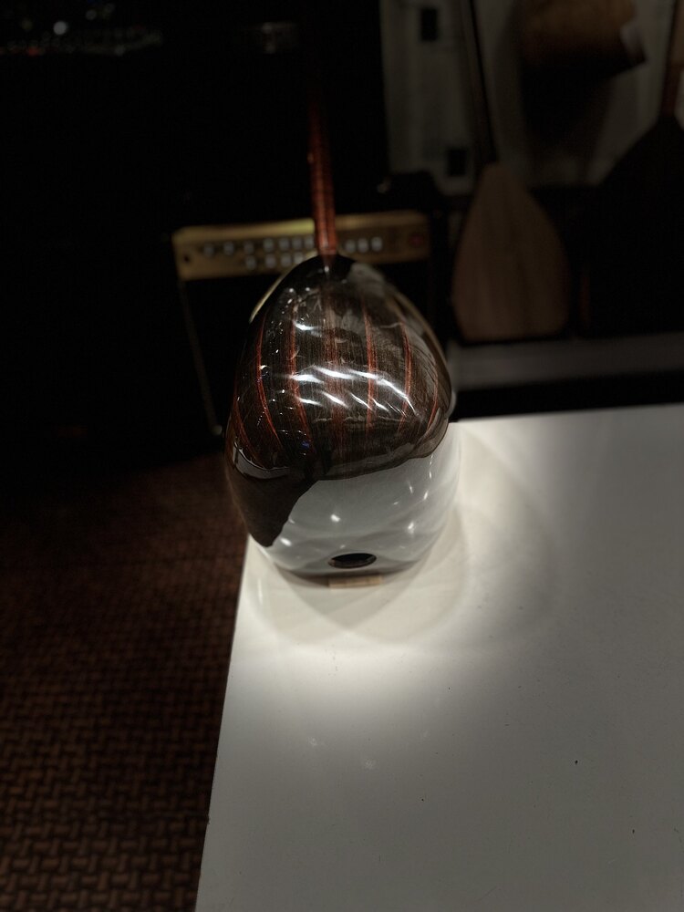 UZUN SAP ABANOZ AĞACI BAĞLAMA
