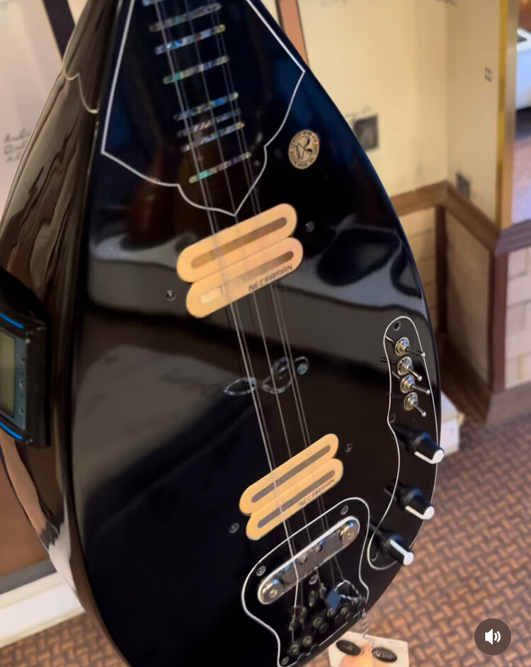 Profosyonel siyah elektro saz