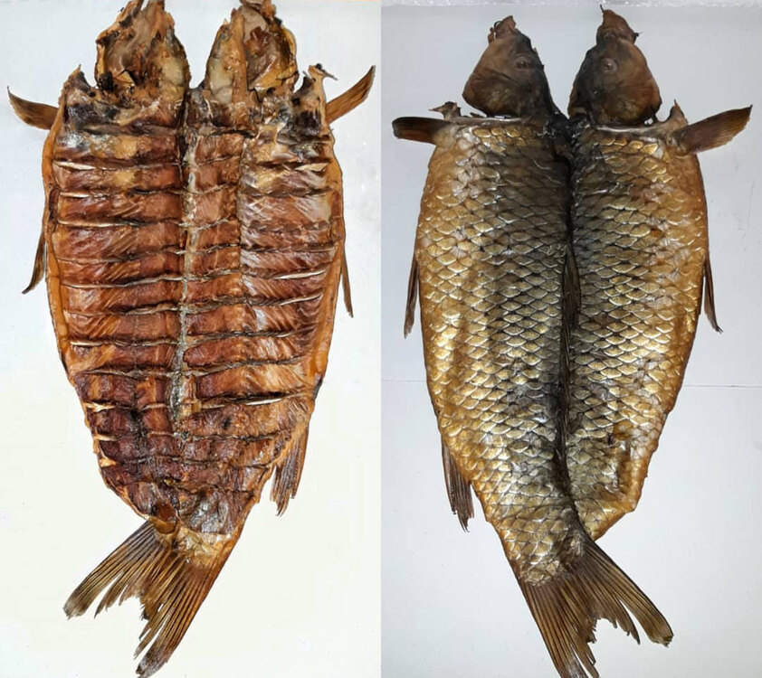 Naxcivan Sazani ( Kapconnu - Isli ) 1 kg
