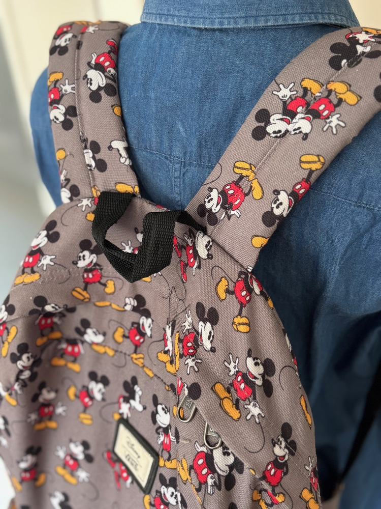 Vans Old Skool Disney Çanta