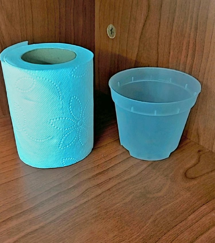 8 CMLİK ŞEFFAF SAKSI /250 ML