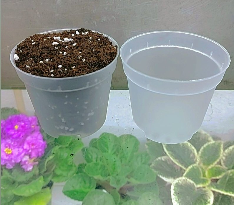 8 CMLİK ŞEFFAF SAKSI /250 ML