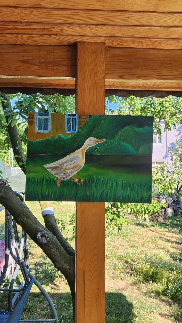 gezen ördek
