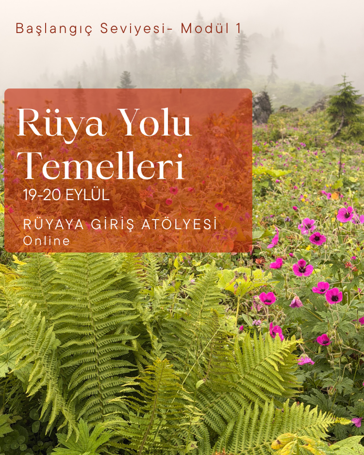 Rüya Yolu - Modül 1 - Online Başlangıç-1