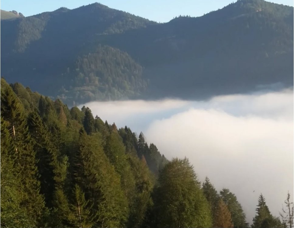 RİZE-İKİZDERE YEDİÇUKUR BALI 