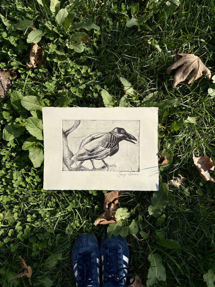 Crow