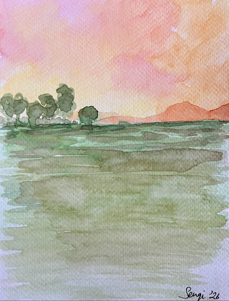 Vadi