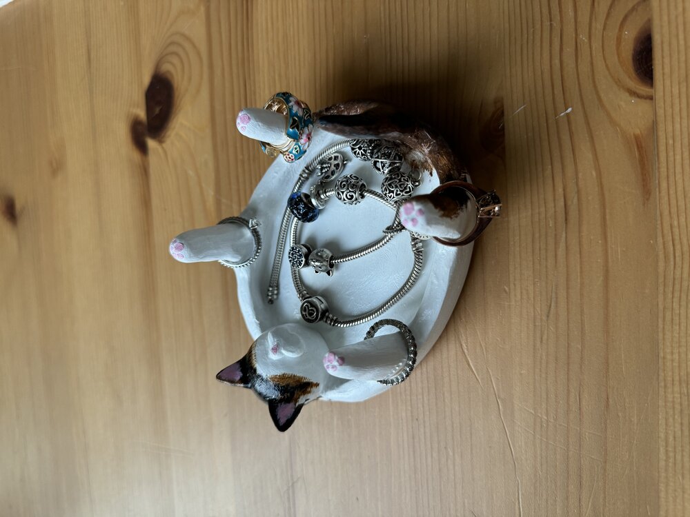 Kedi takı tabağı