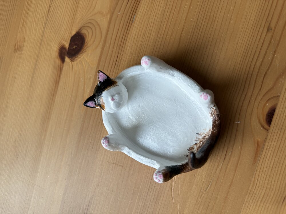 Kedi takı tabağı