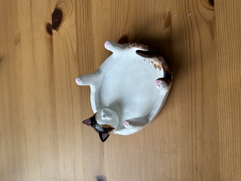 Kedi takı tabağı