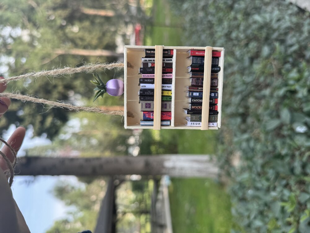 Dikiz Aynası Mini kitaplık