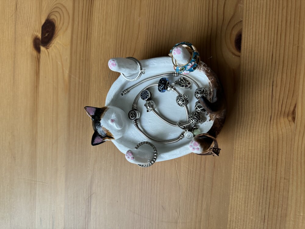 Kedi takı tabağı
