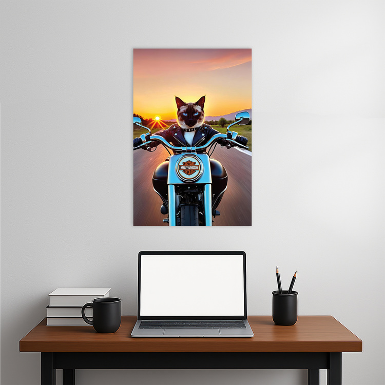 Biker Siamese