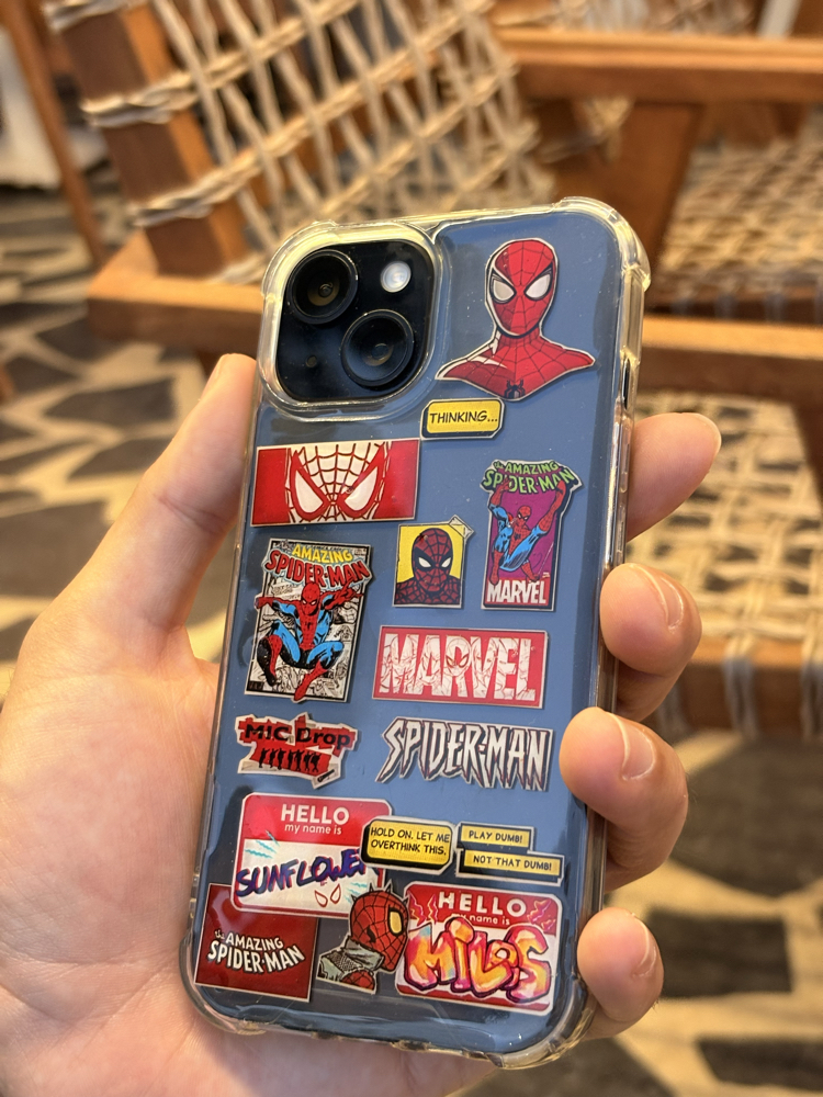 Spider Man Case